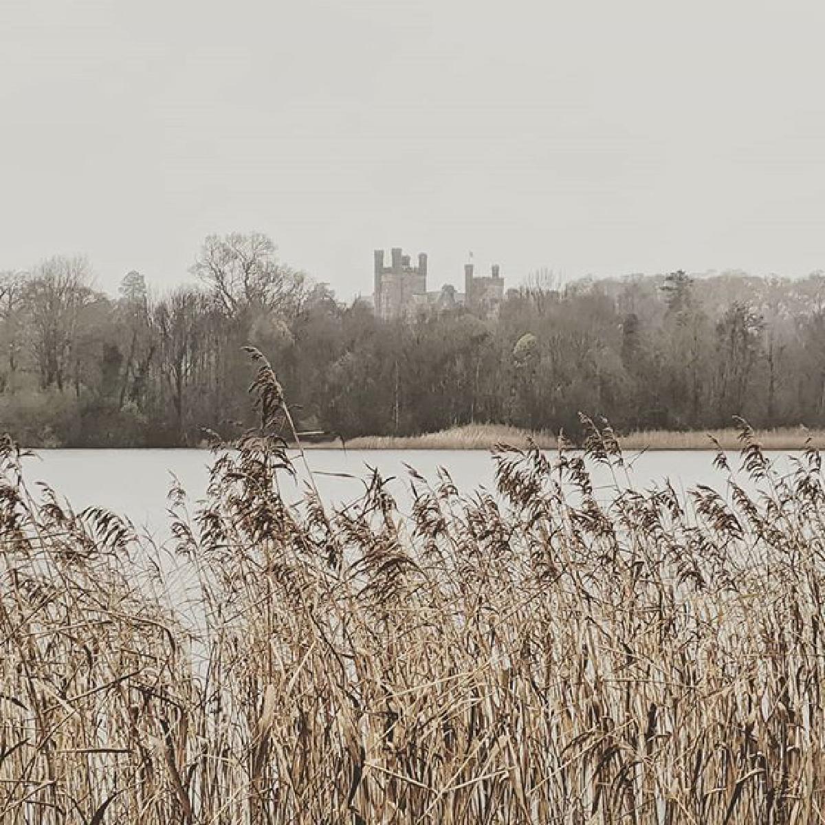 Gloomy November at Castle Ward