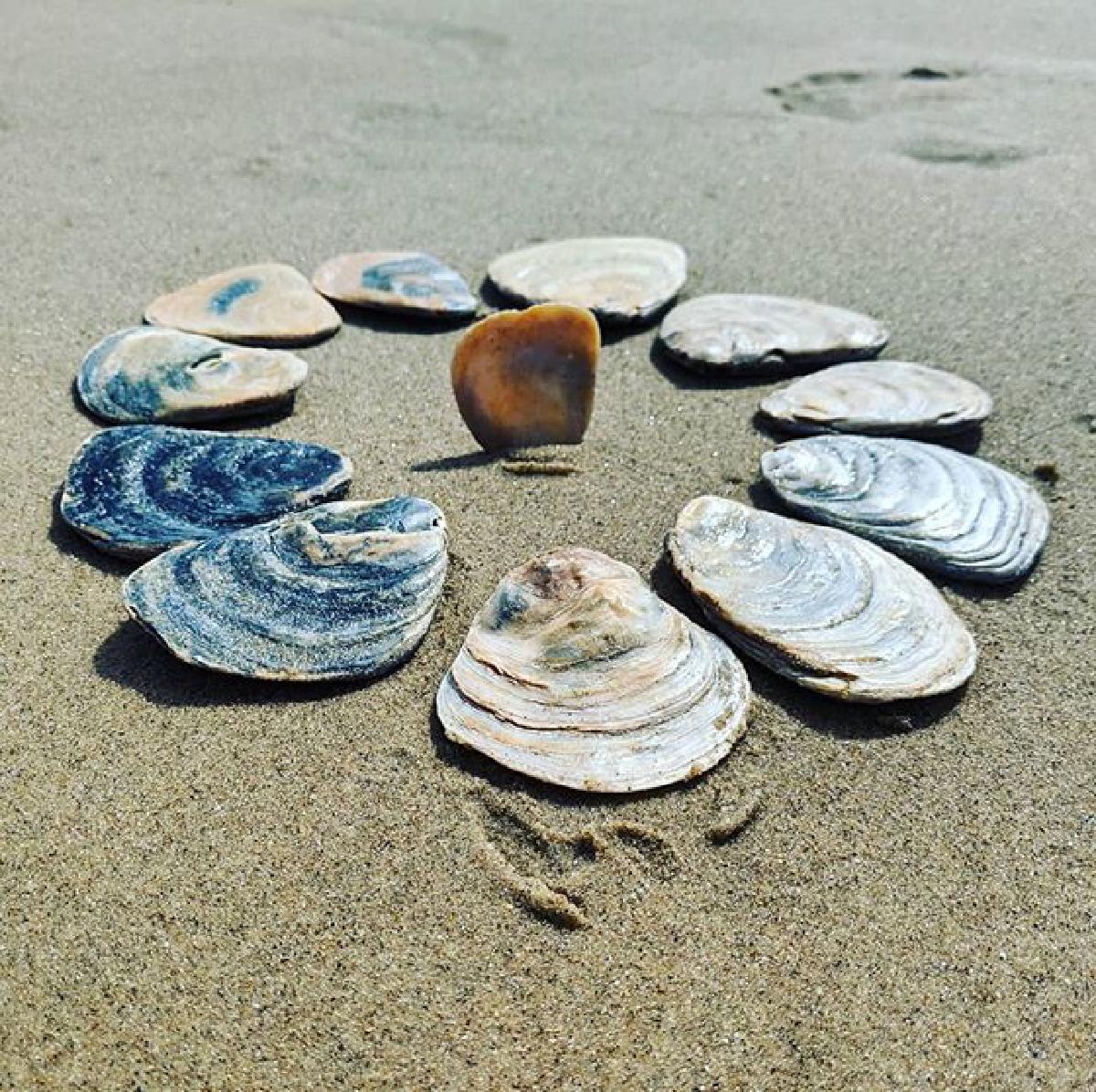 Shell formation on Brittas Bay beach