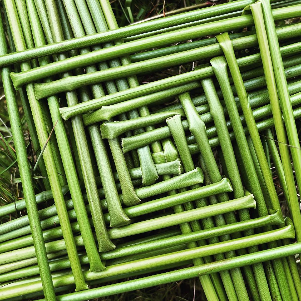 Close-up of St Brigids Cross made from rushes at Ballypatrick