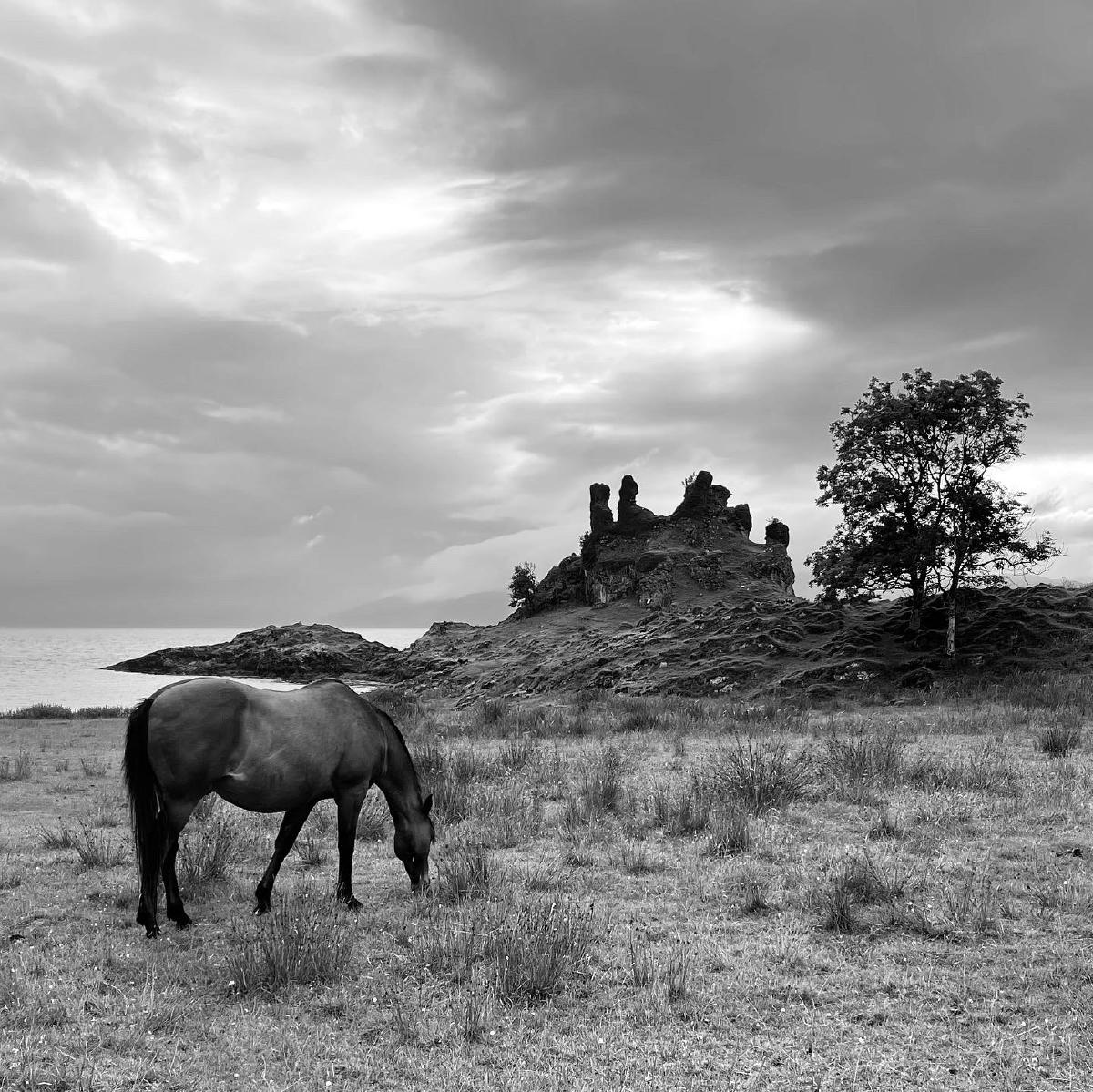 A horse grazes on the shores near Ceoffin Castle